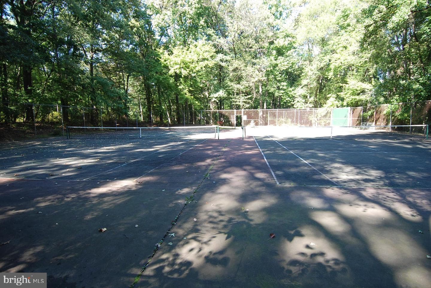 2711 Manhattan Place photo 68