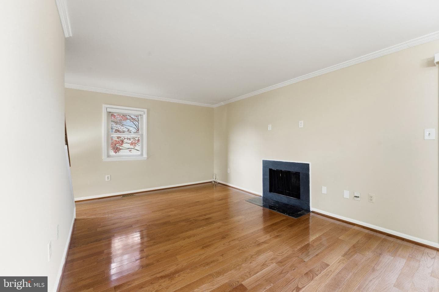 3033 White Birch Court photo 8