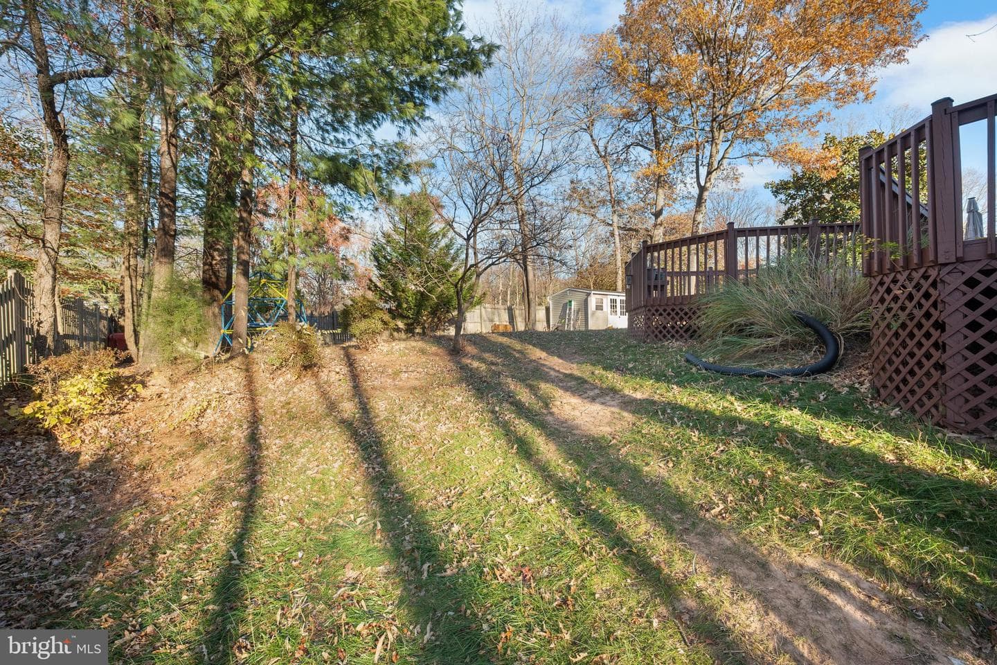 10708 Rippon Lodge Drive photo 71
