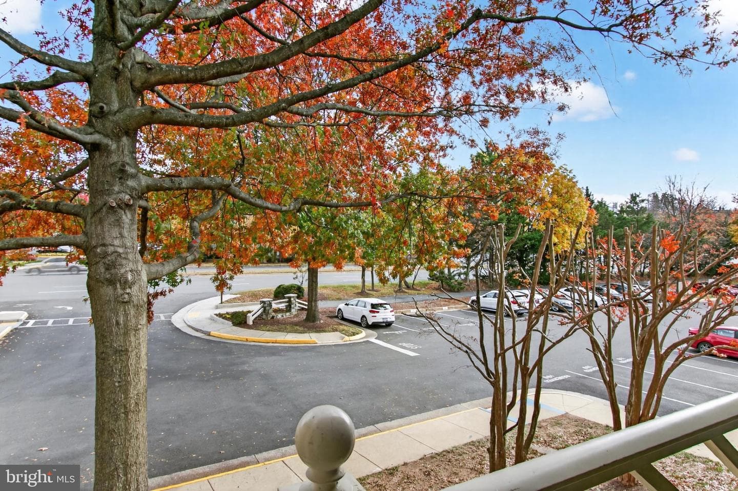12213 Fairfield House Drive #506b photo 21