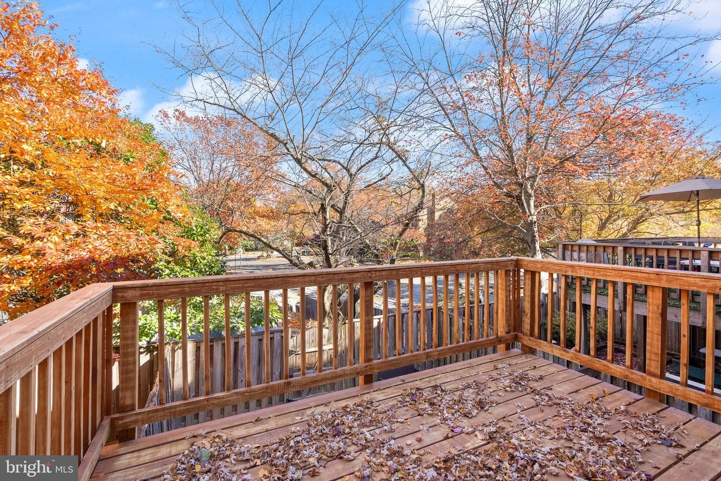 8205 Cedar Landing Court photo 8