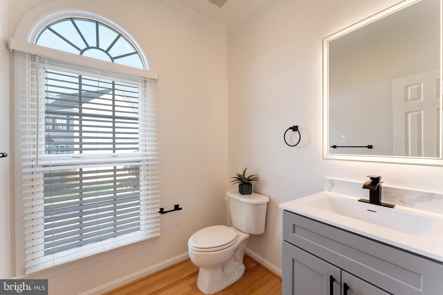 7204 Lyndam Hill Circle photo 24