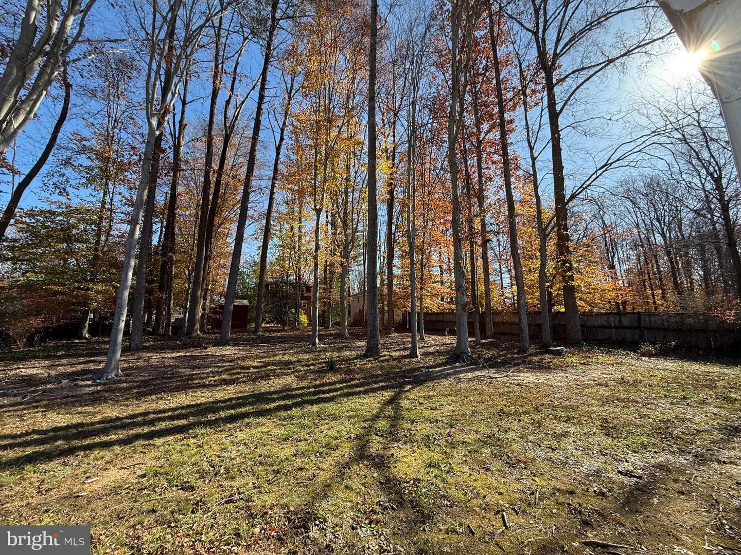 4721 Springbrook Drive photo 67