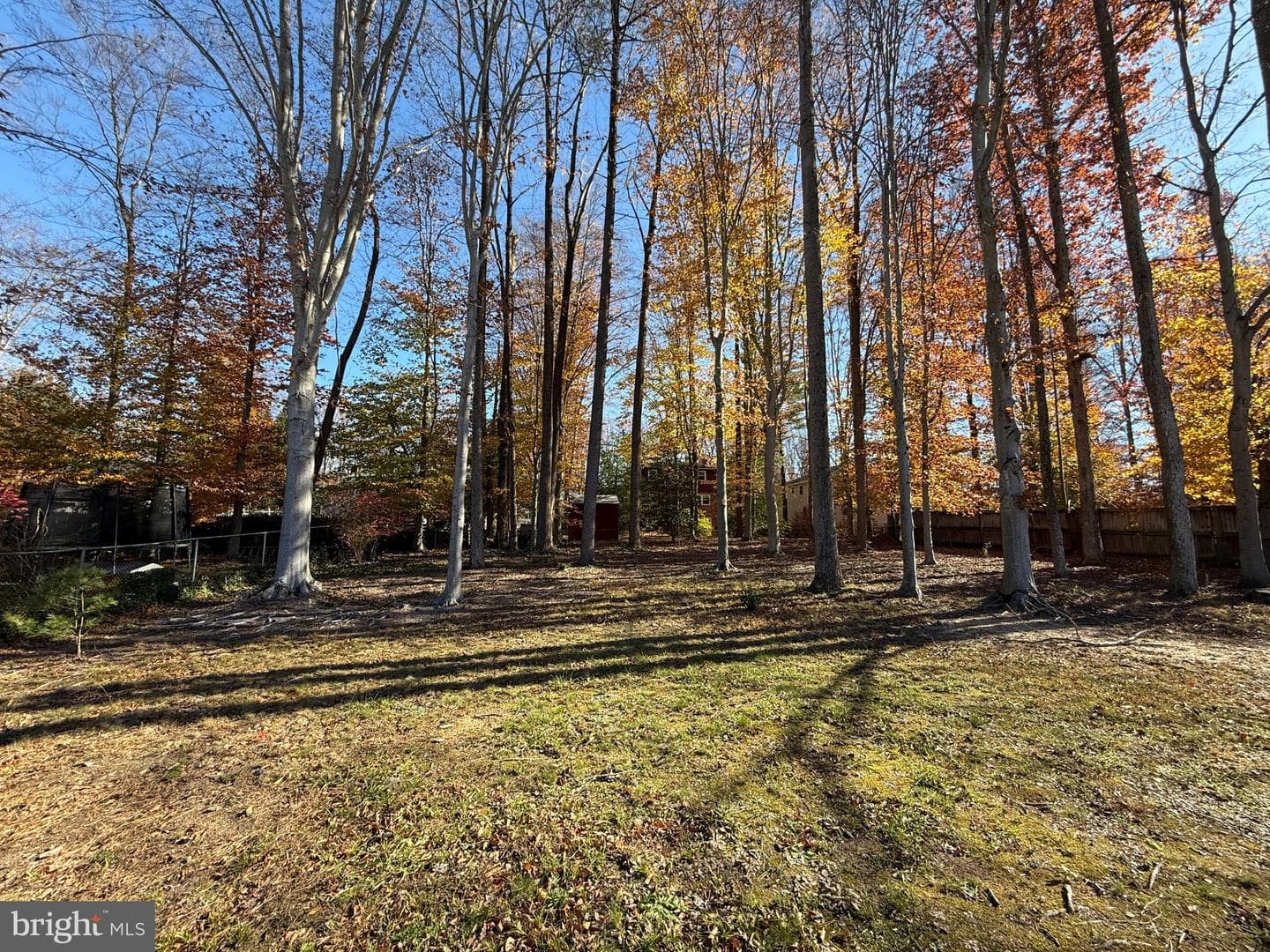 4721 Springbrook Drive photo 68