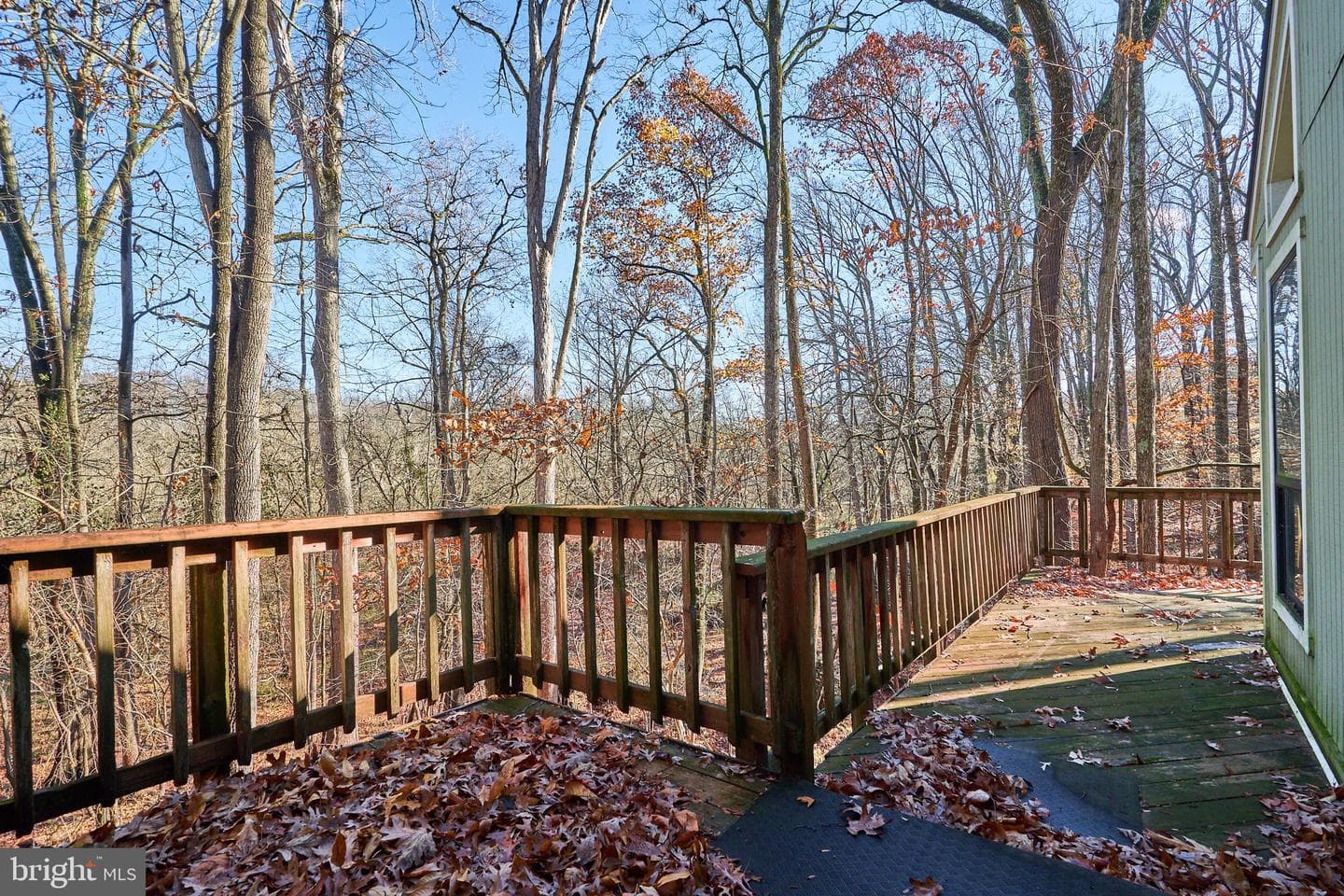 8415 Spicewood Court photo 8