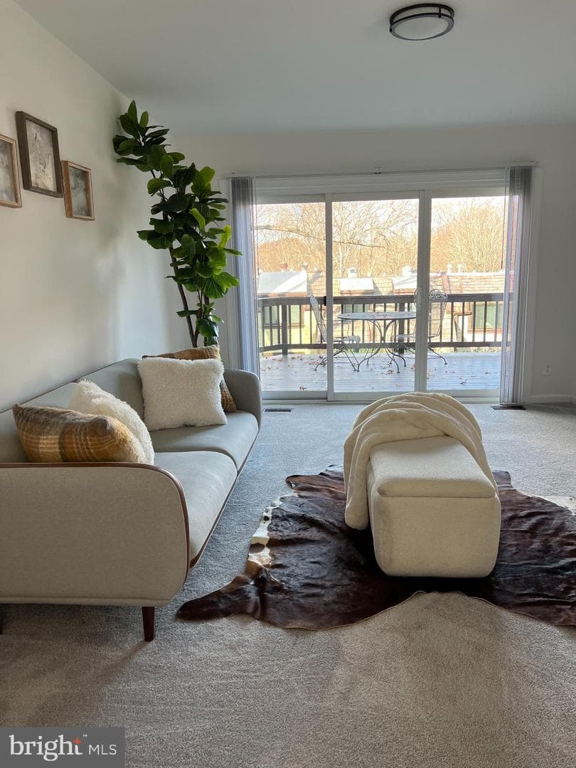 1546 Scandia Circle photo 6