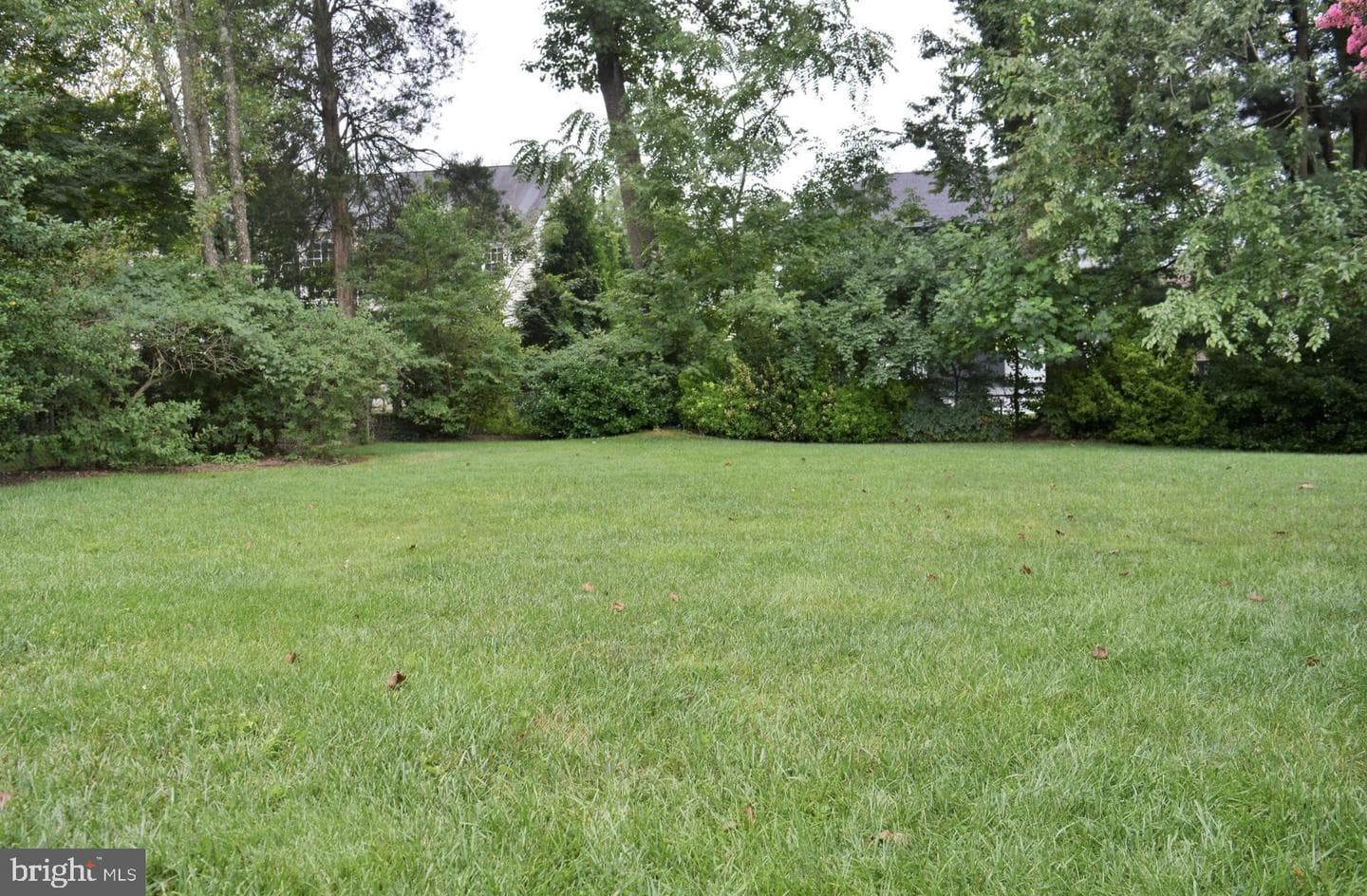 6613 Chesterfield Avenue photo 5