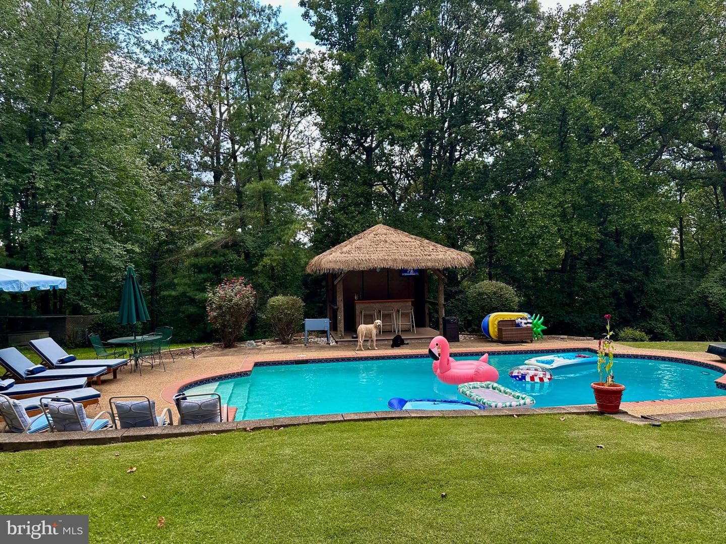 6528 Windham Avenue, Alexandria