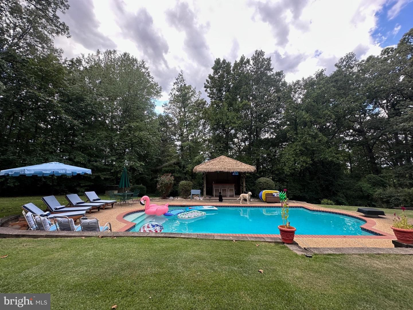 6528 Windham Avenue photo 48