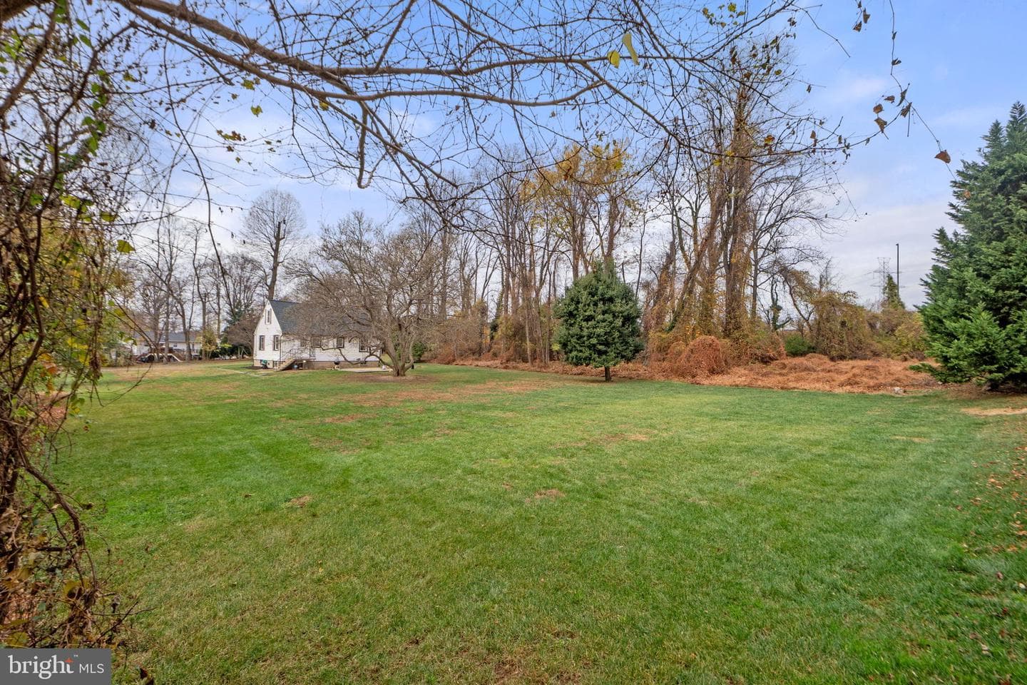 2531 Ogden Street photo 34