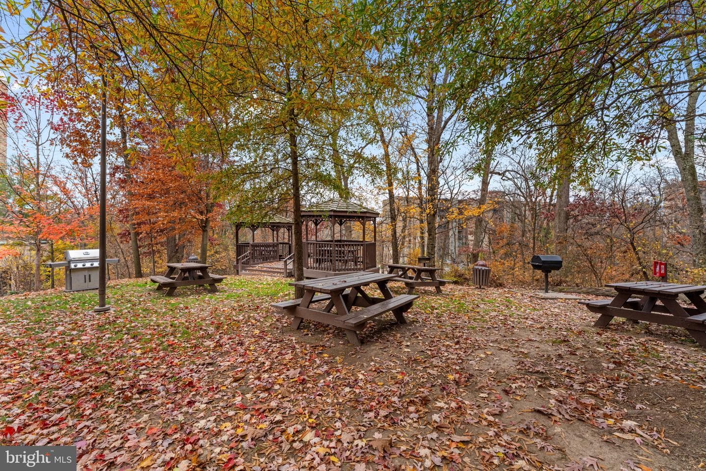 5901 Mount Eagle Drive #1116 photo 26