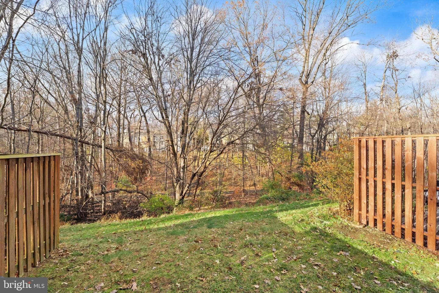1616 Barnstead Drive photo 45
