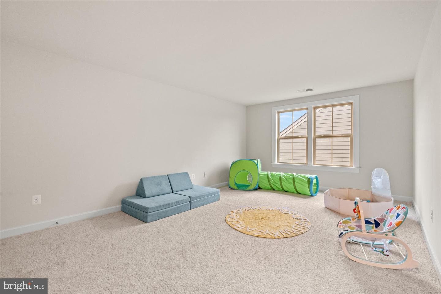 9091 Bear Branch Place photo 43