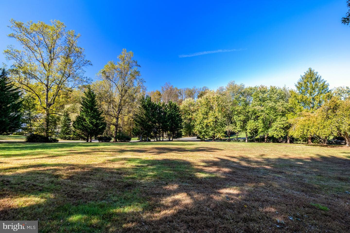 355 Springvale Road photo 38