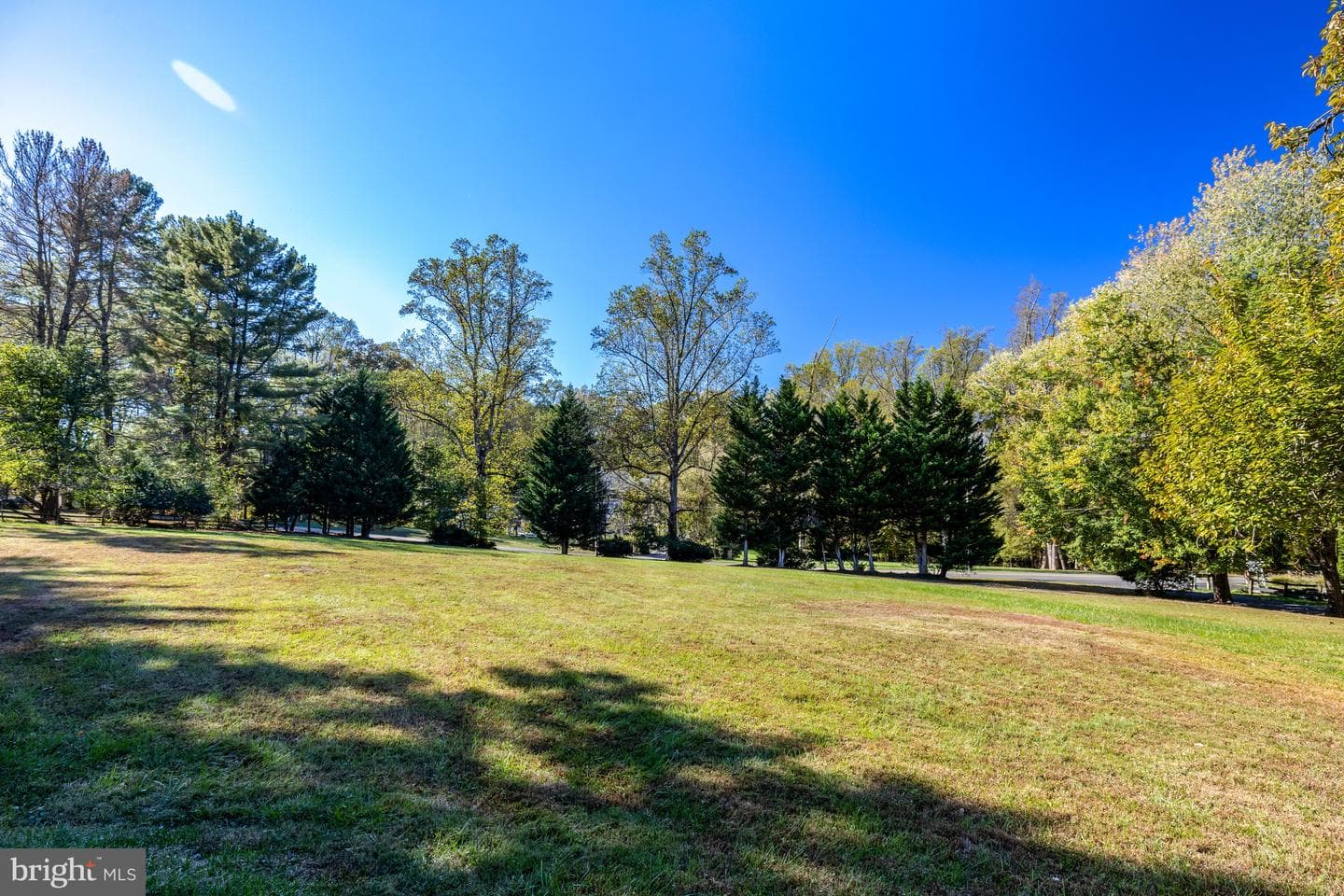 355 Springvale Road photo 39