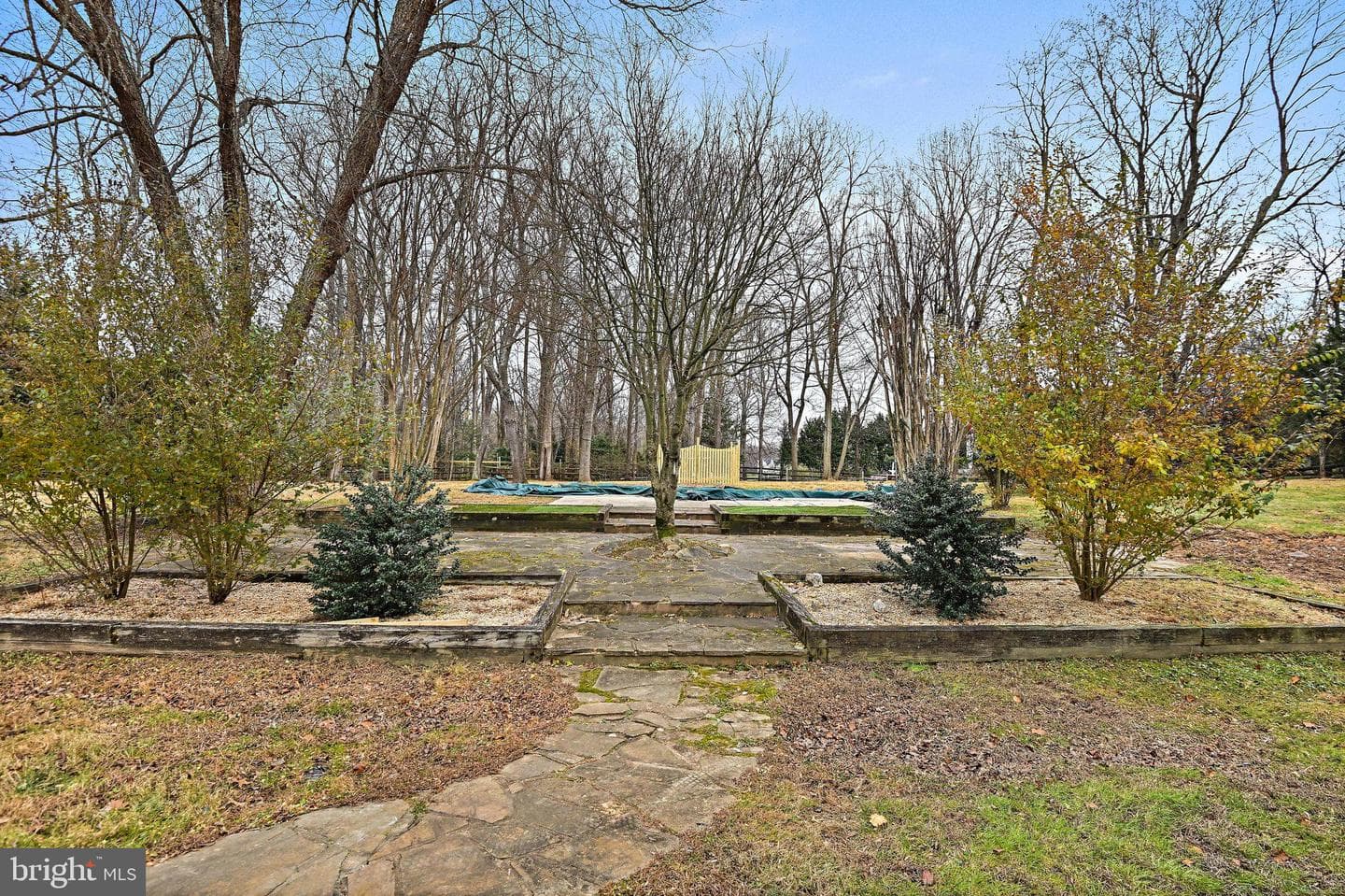 355 Springvale Road photo 42