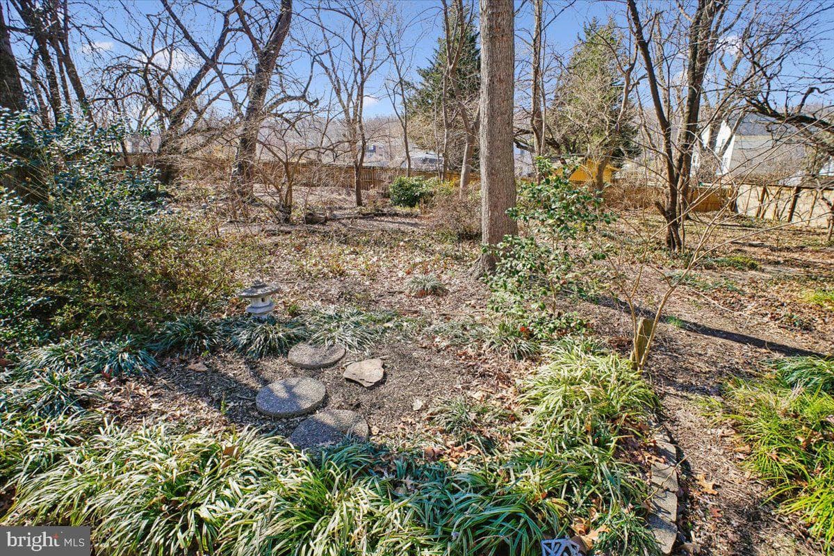 6725 Alpine Drive photo 35