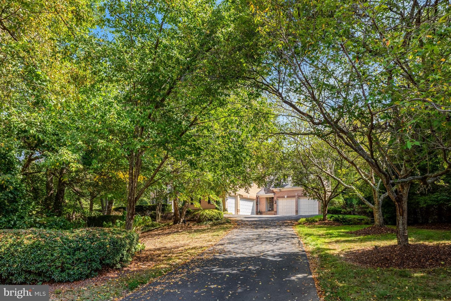 801 Olde Georgetown Court photo 64