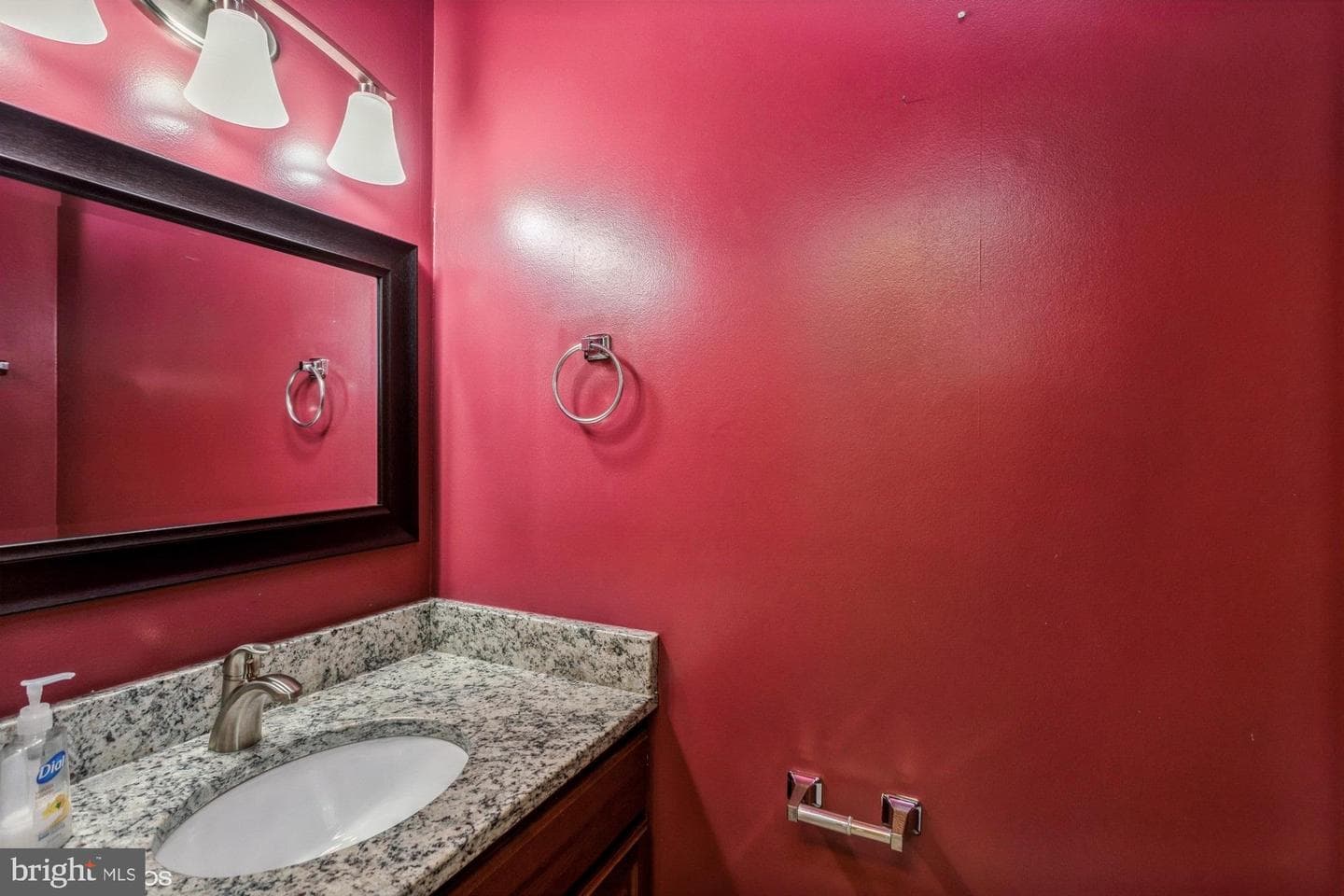 7092 Solomon Seal Court photo 6