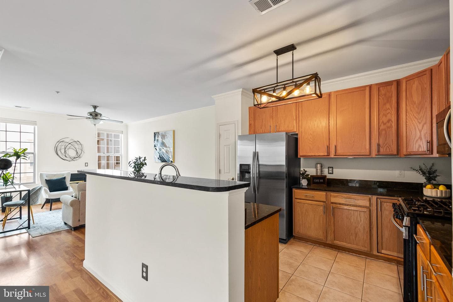 11565 Cavalier Landing Court photo 10