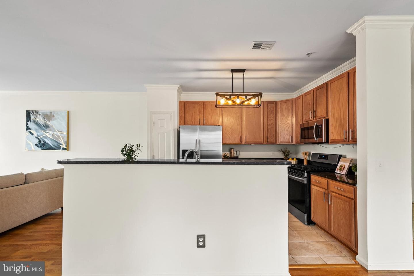 11565 Cavalier Landing Court photo 11