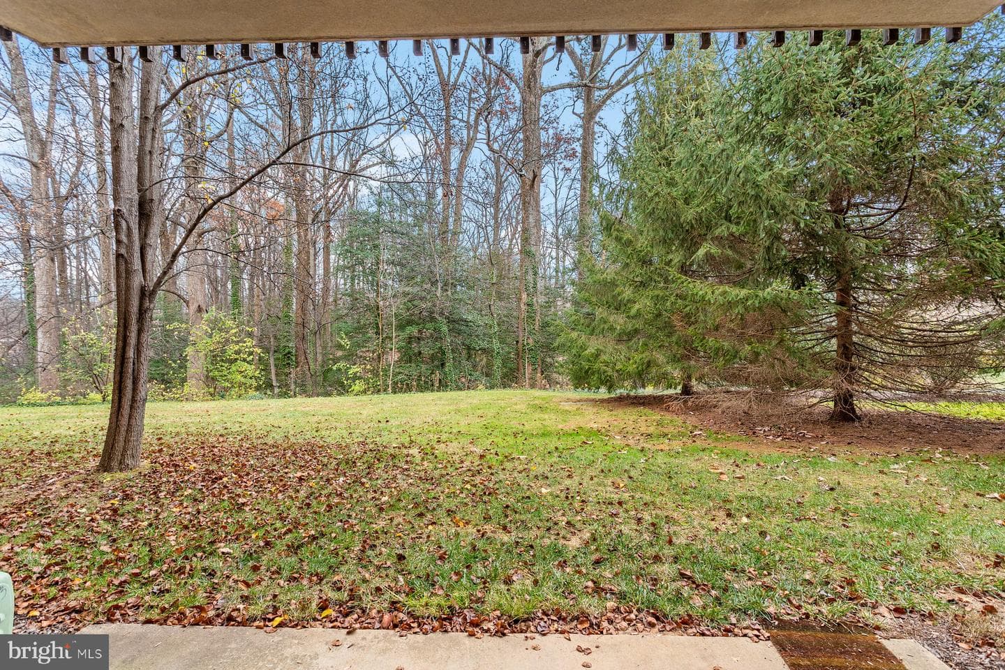 11611 Vantage Hill Road #1a photo 13