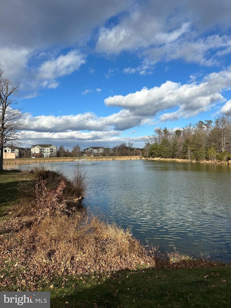 1708 Lake Shore Crest Drive photo 24
