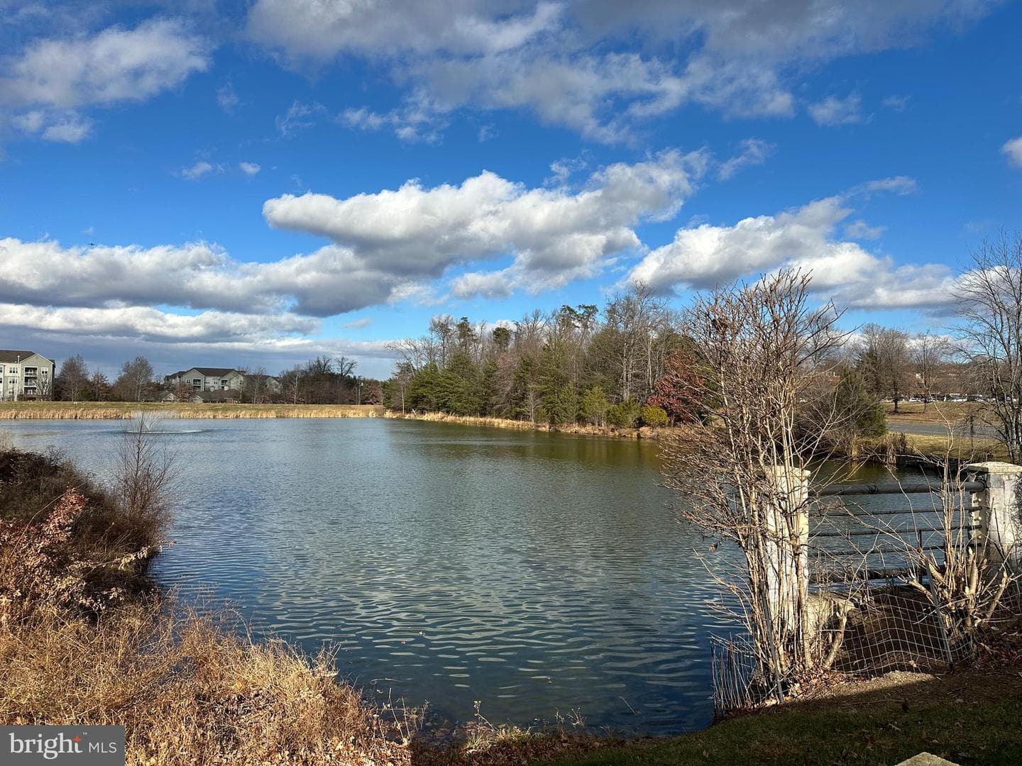 1708 Lake Shore Crest Drive photo 25