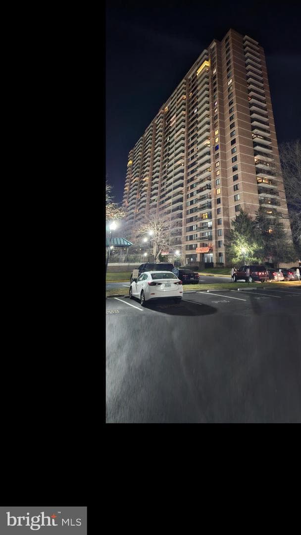 5501 Seminary Road #2502s photo 16