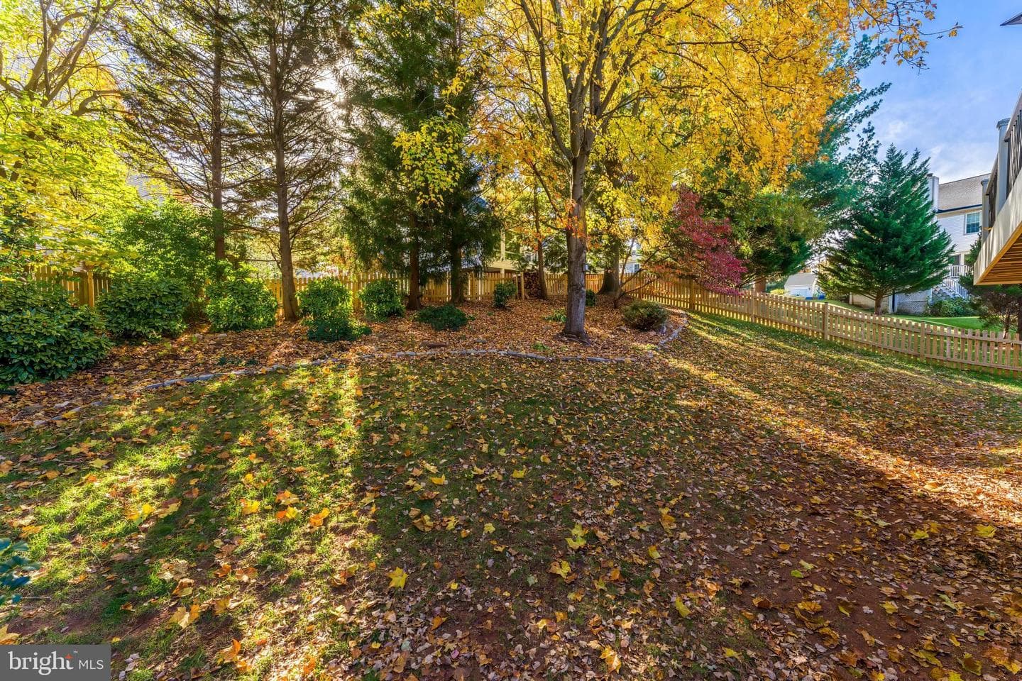 3919 Bokel Drive photo 56