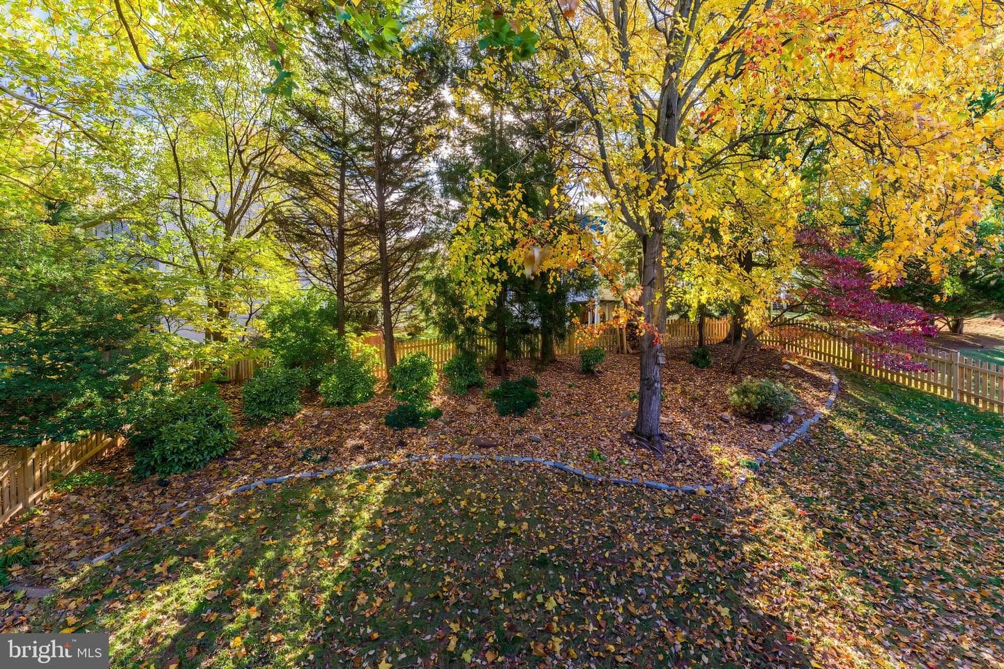 3919 Bokel Drive photo 57