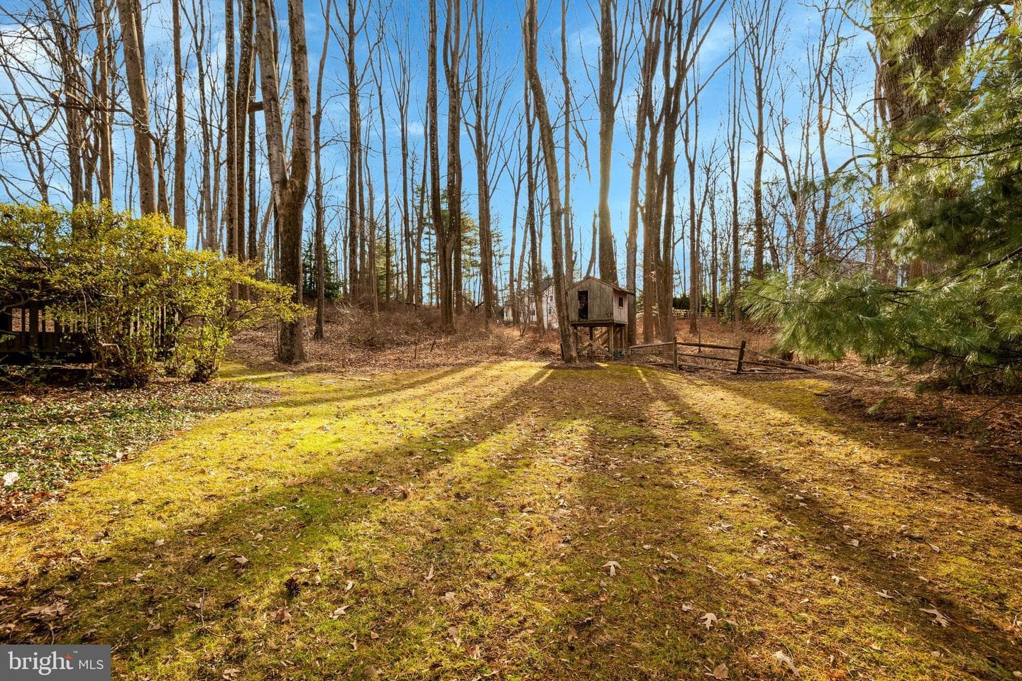 11273 Waples Mill Road photo 26