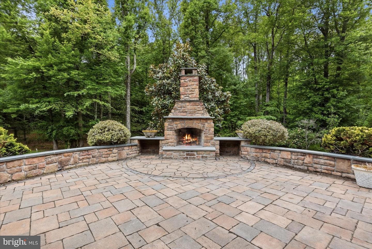 10105 Walker Lake Drive photo 99