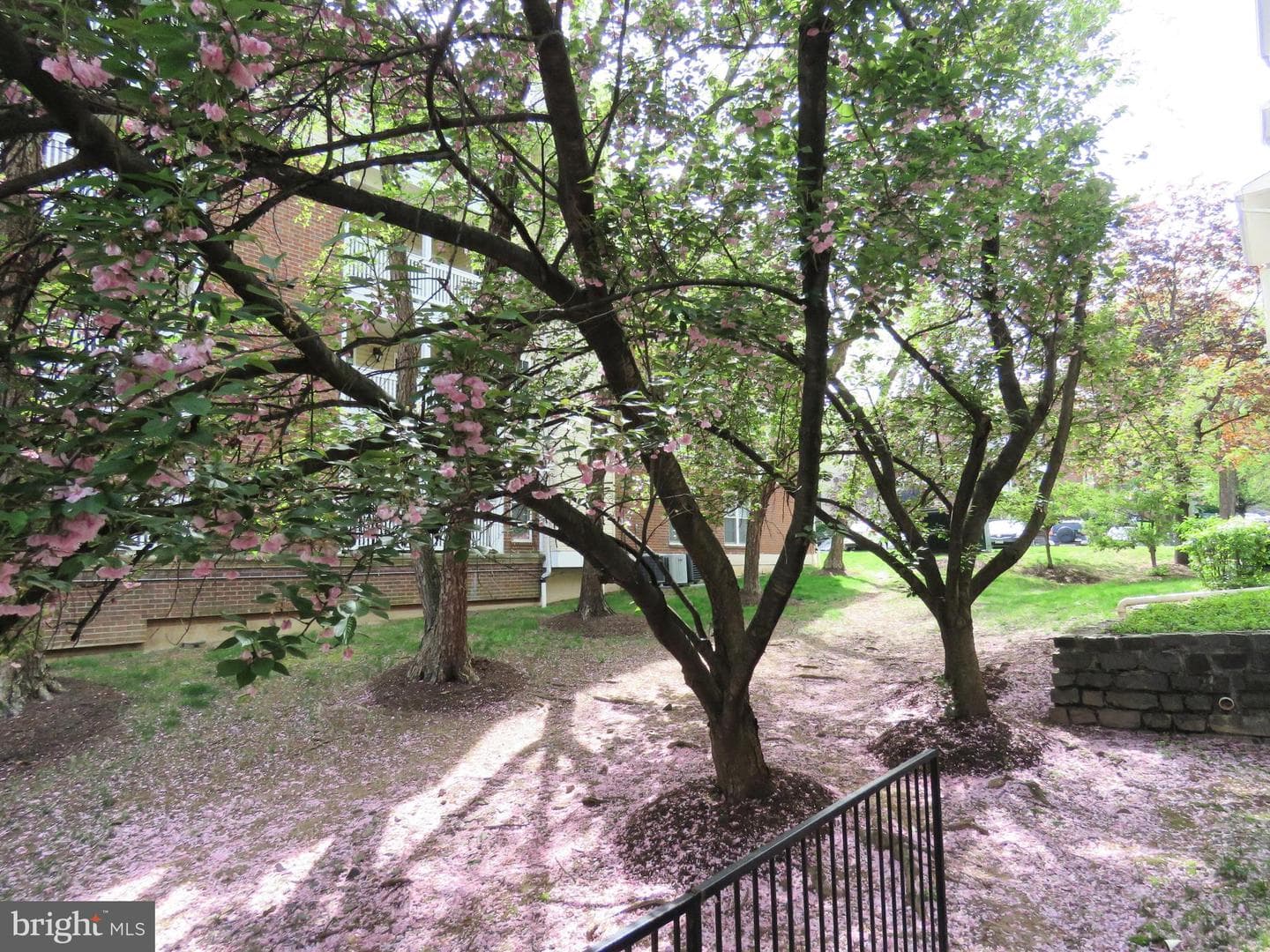 1532 Lincoln Way #203 photo 22