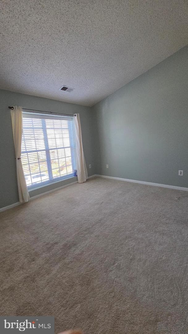 7114 Westfield Court photo 29