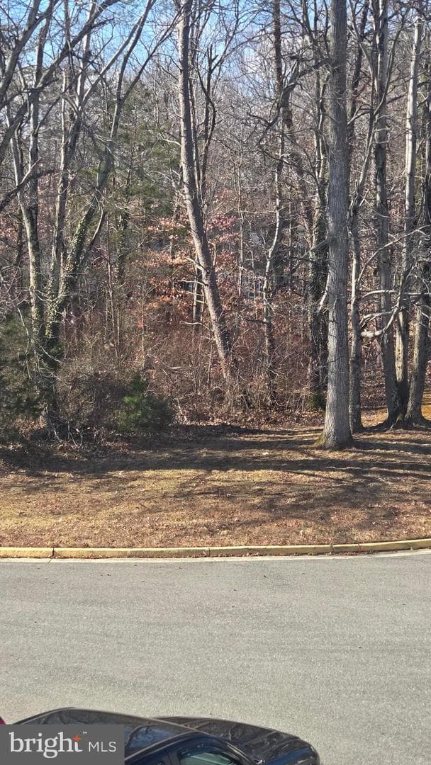 7114 Westfield Court photo 30