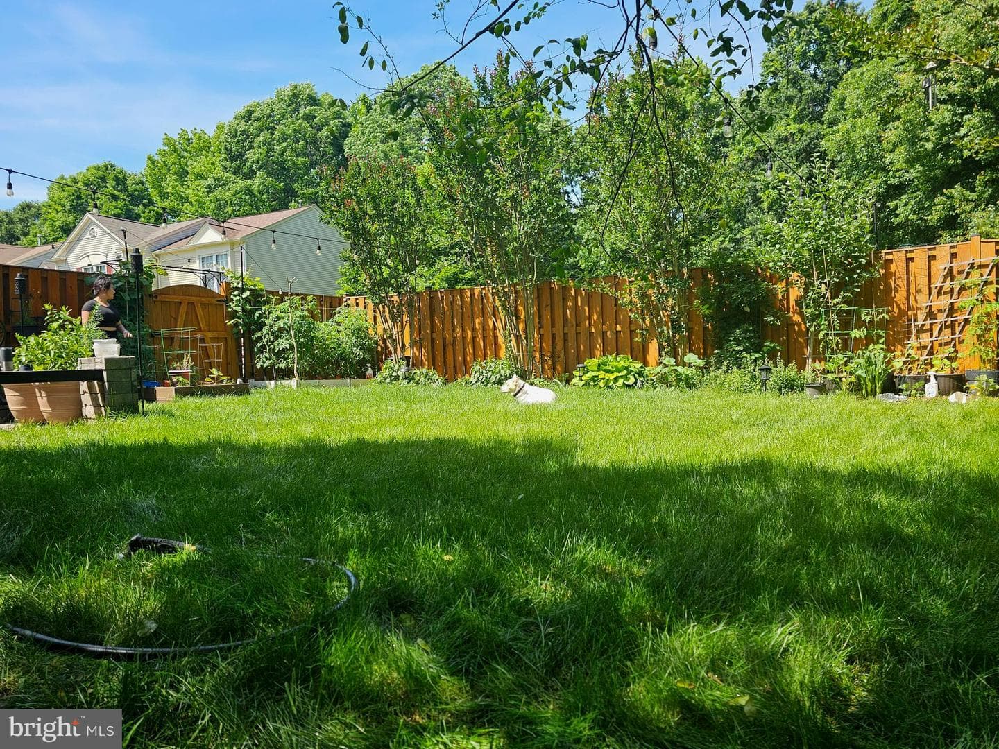7114 Westfield Court photo 44