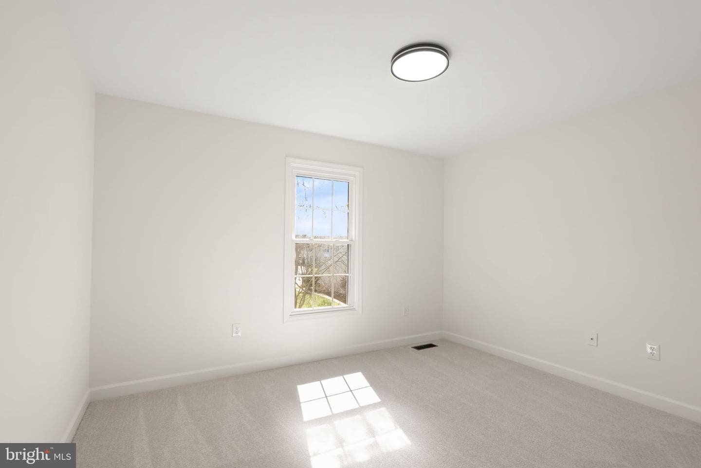 14379 Round Lick Lane photo 60