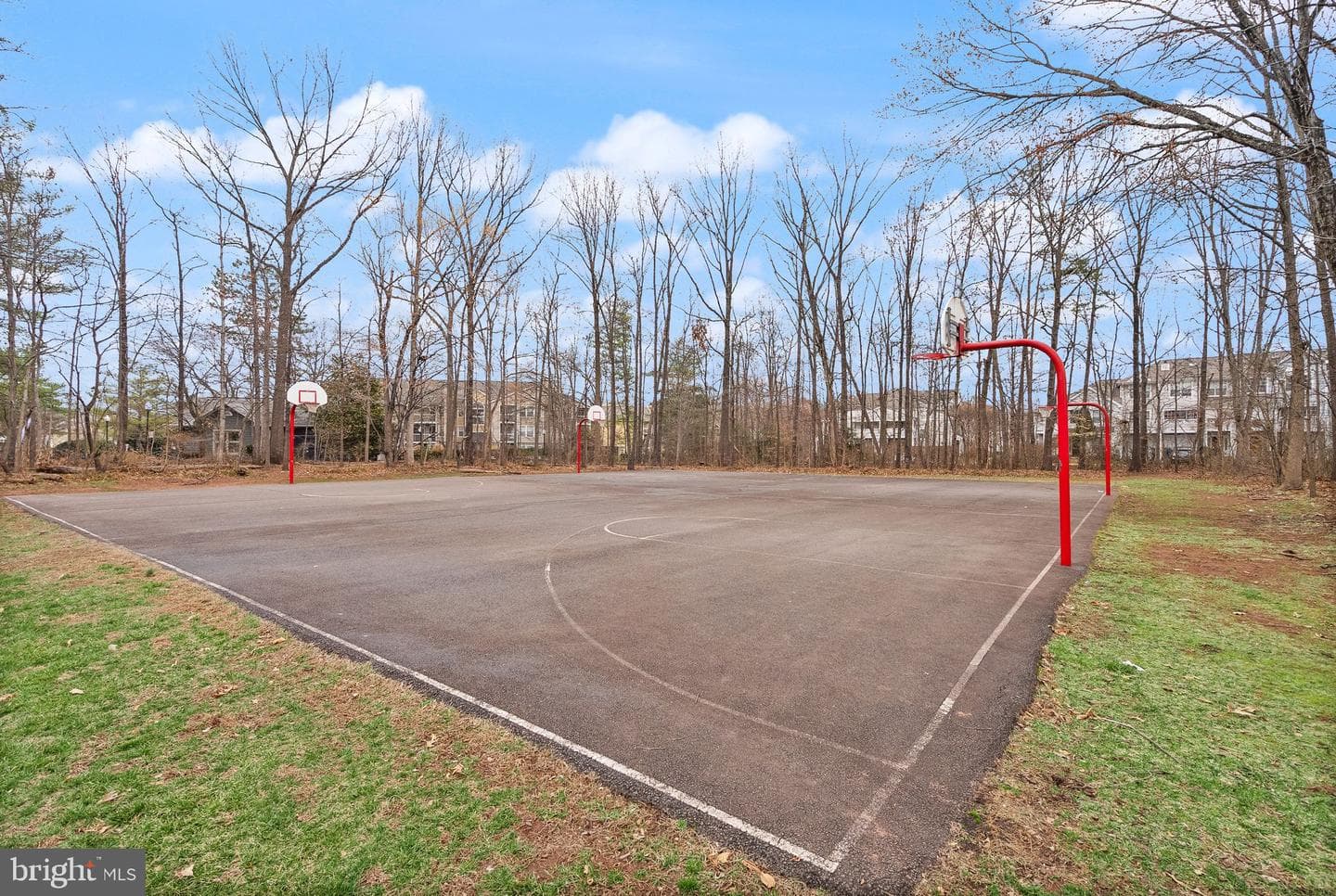 14379 Round Lick Lane photo 95