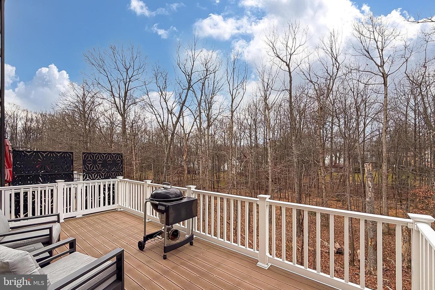3849 Rainier Drive photo 28