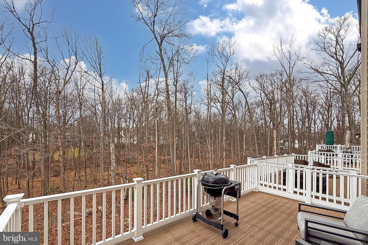 3849 Rainier Drive photo 31