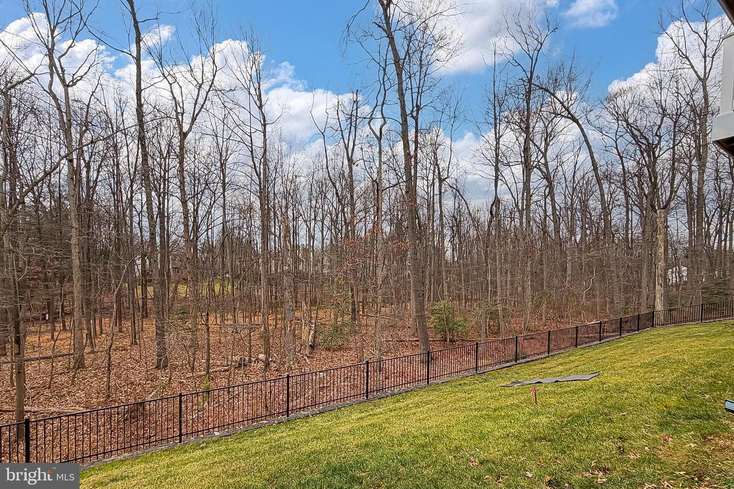 3849 Rainier Drive photo 66