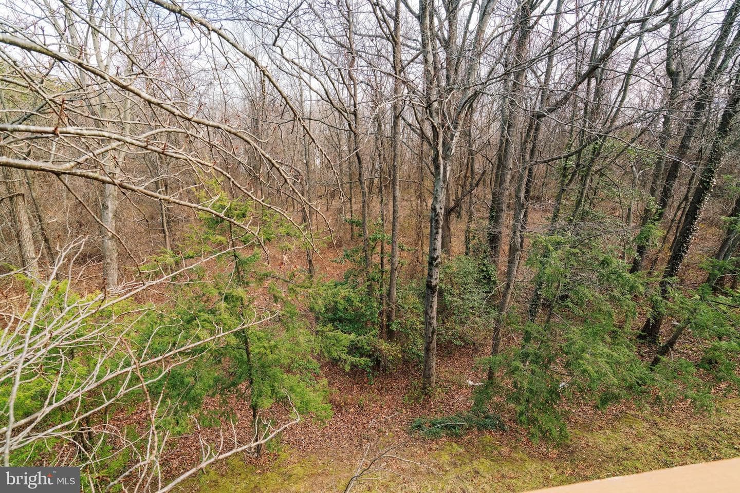 6142 Manchester Park Circle photo 42
