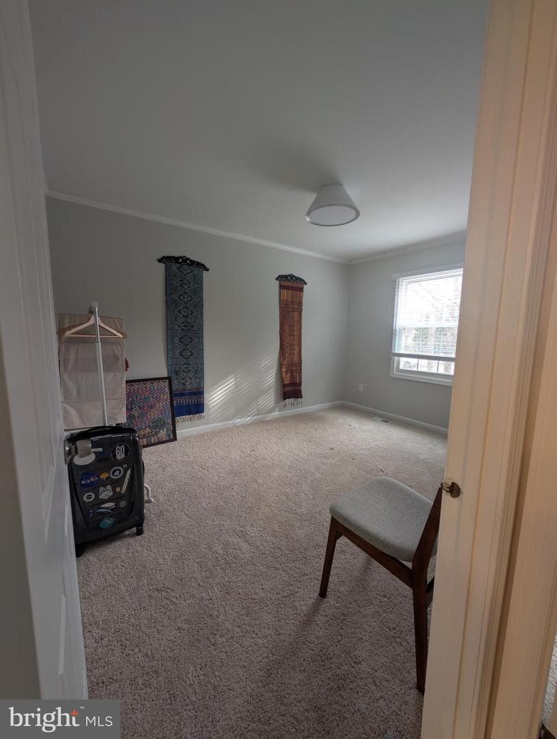6615 Deer Gap Court photo 12