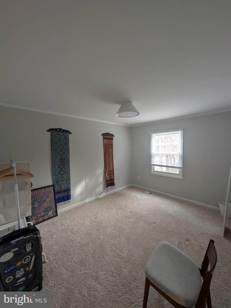 6615 Deer Gap Court photo 13
