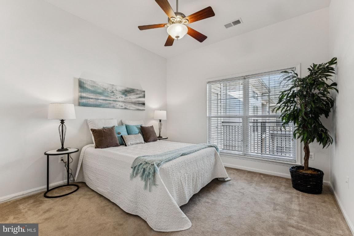 3810 Lightfoot Street #404 photo 11