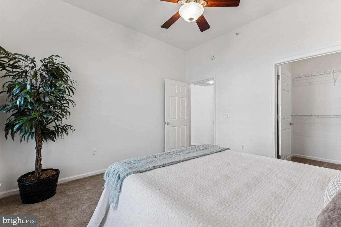 3810 Lightfoot Street #404 photo 12