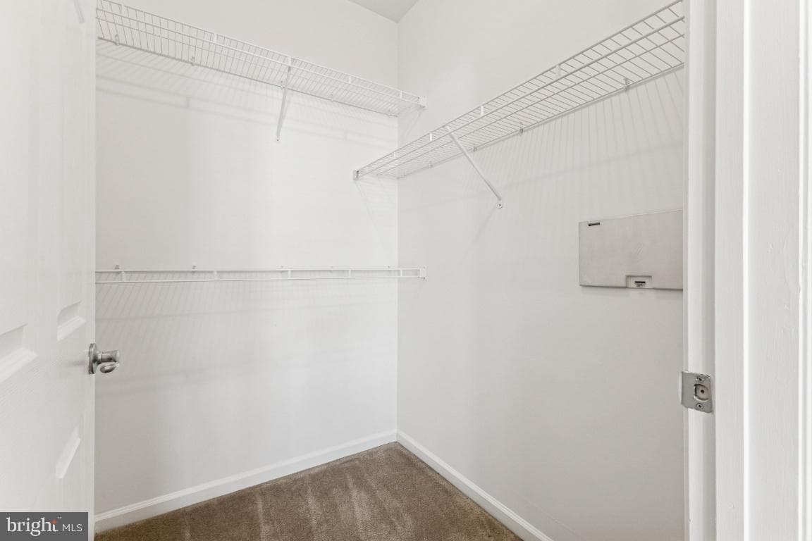 3810 Lightfoot Street #404 photo 13