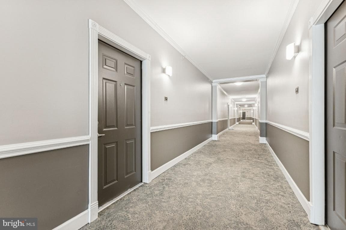 3810 Lightfoot Street #404 photo 2