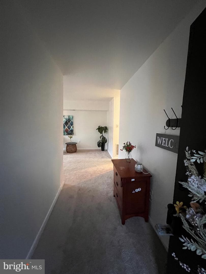 4129 Meadowland Court photo 10